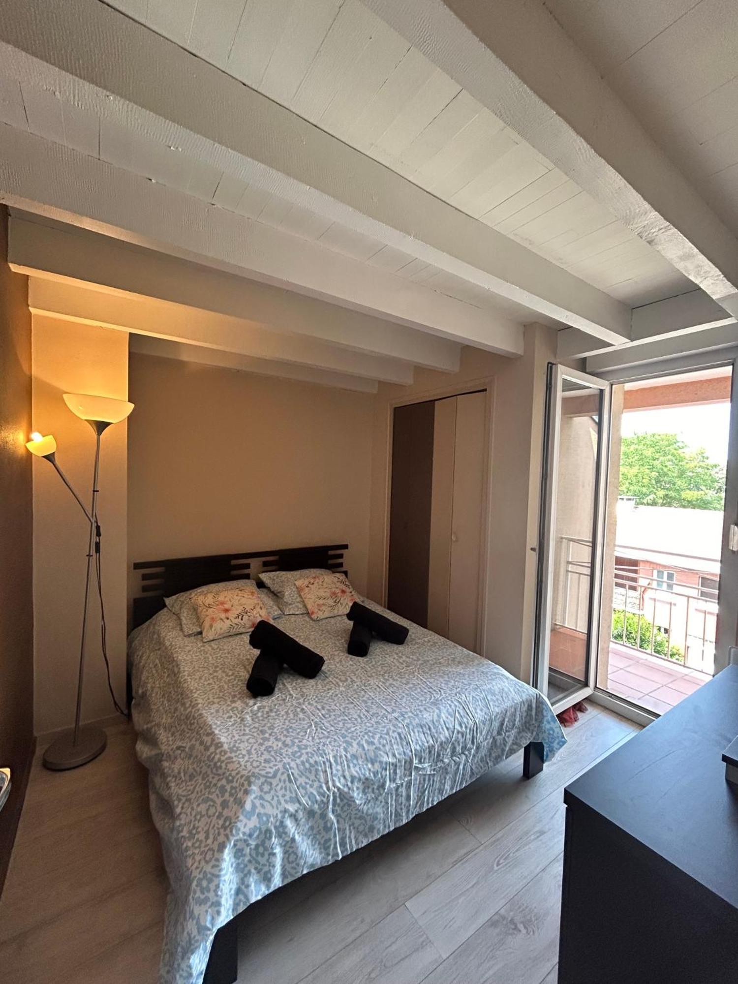 Le Venasque Avec Terrasse - Climatisation Daire Toulouse Dış mekan fotoğraf